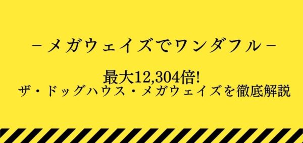 ザドックハウスメガウェイズーメイン画像